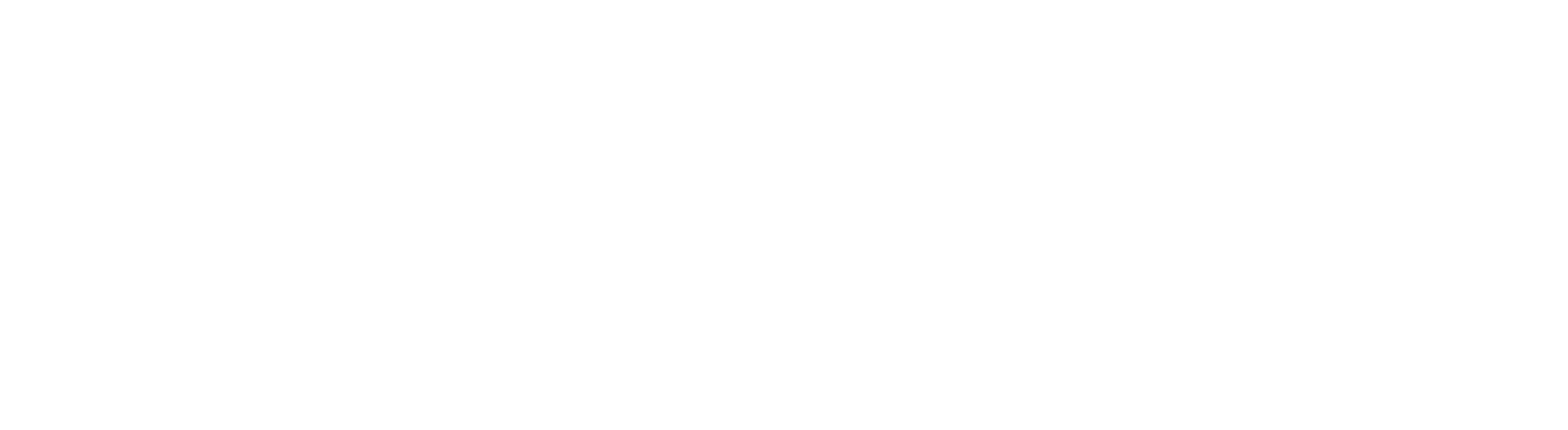 MASS-light
